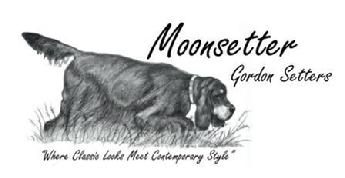 Moonsetter logo